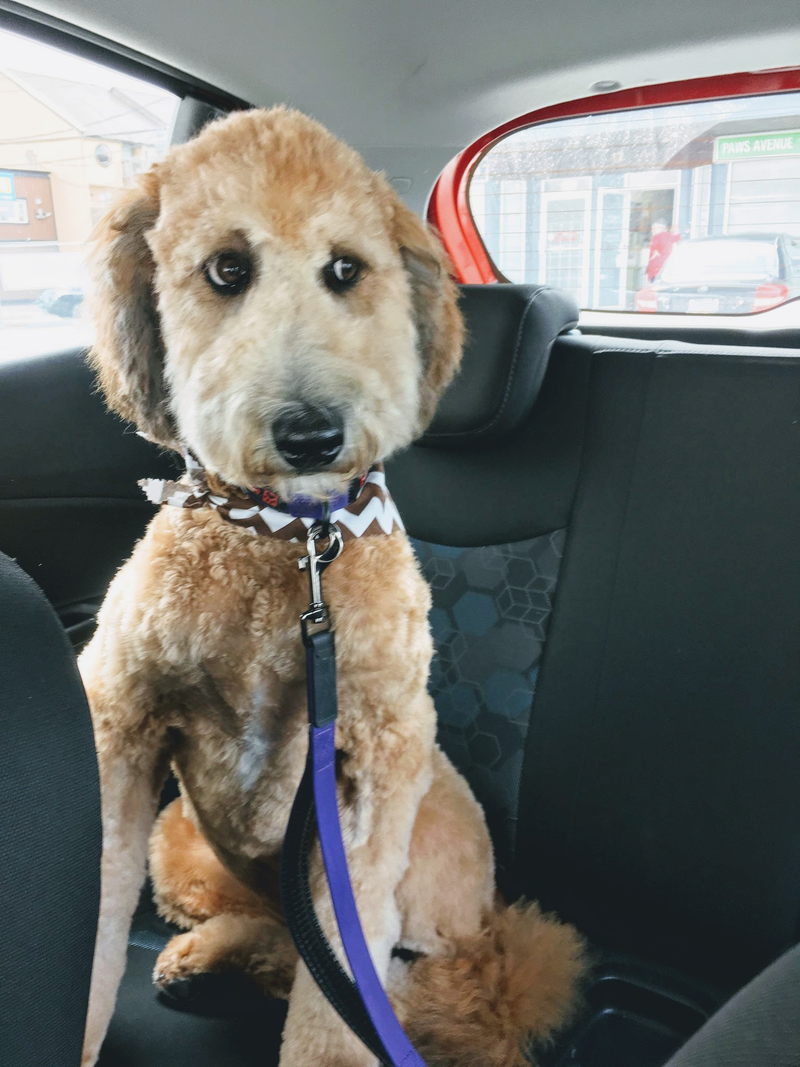 bad pic, but cute quizzical look